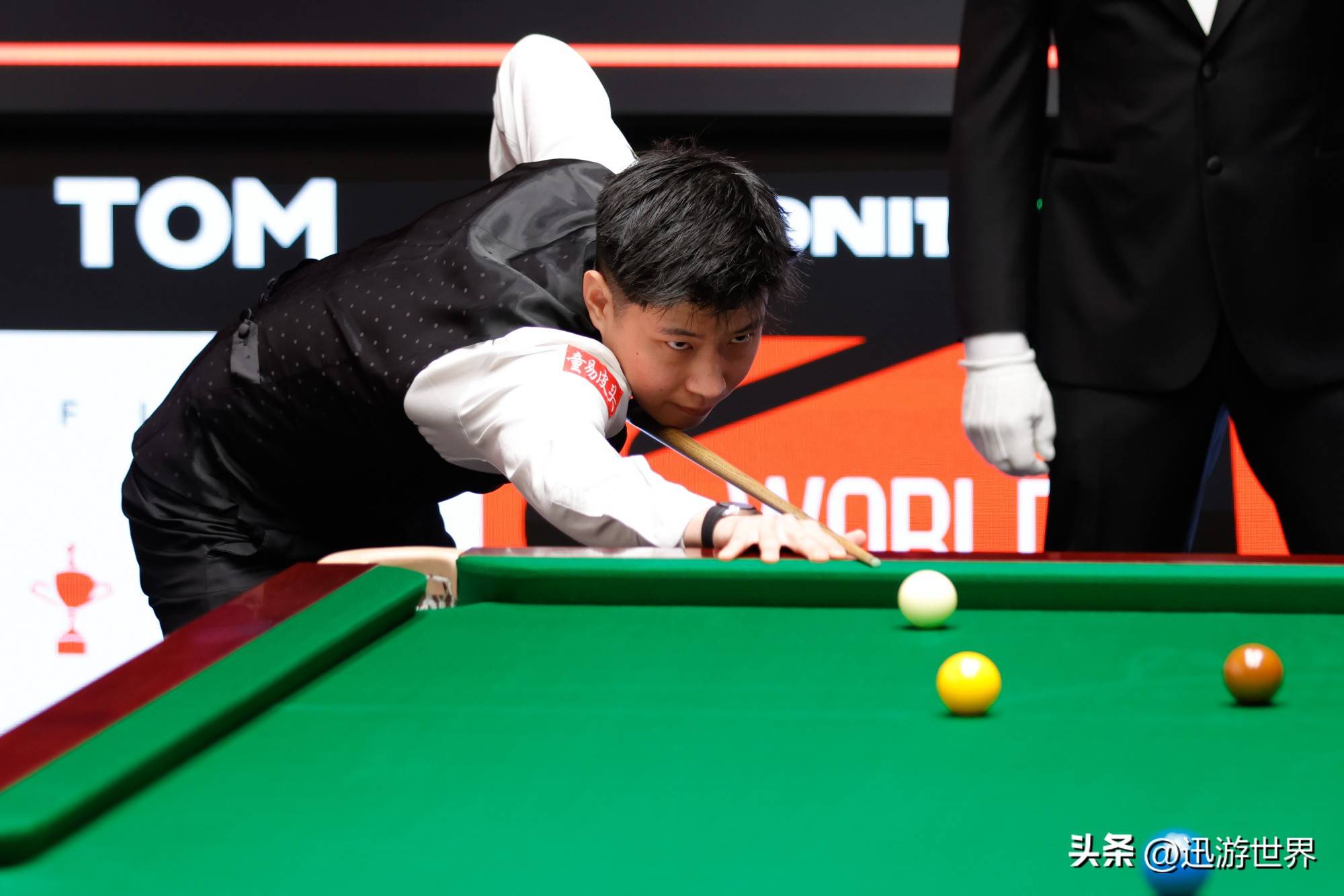 的职业寿命 的职业寿命