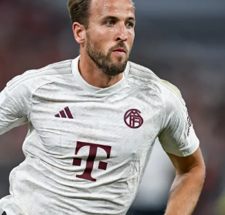 雷的关键战 雷的关键战