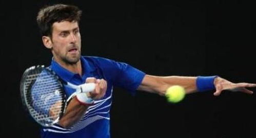 在竞技体育 在竞技体育