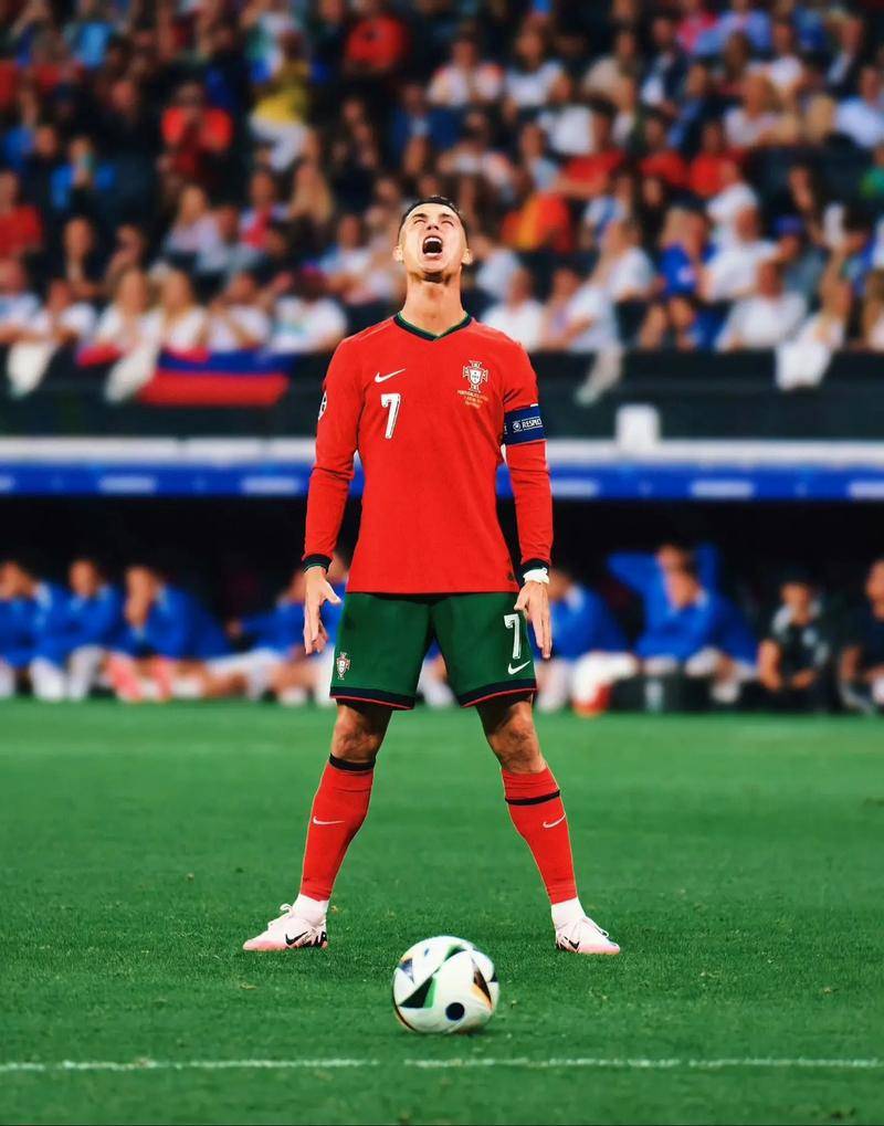 陈顾新和郑 陈顾新和郑